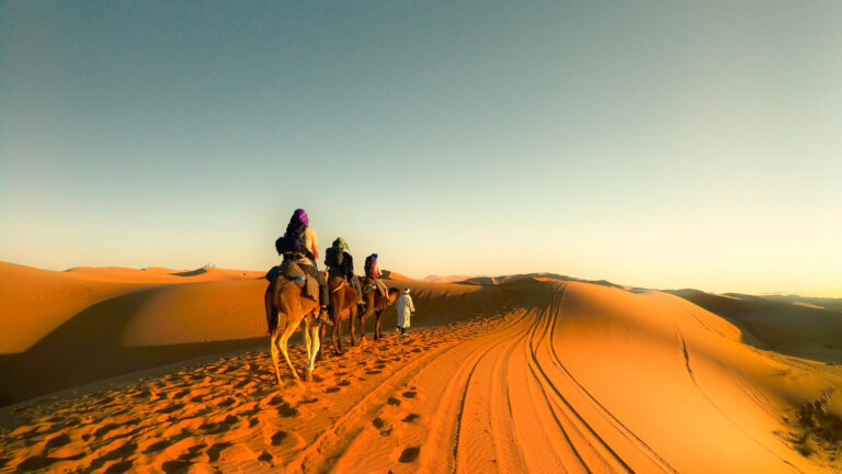 Desert Dream Ride